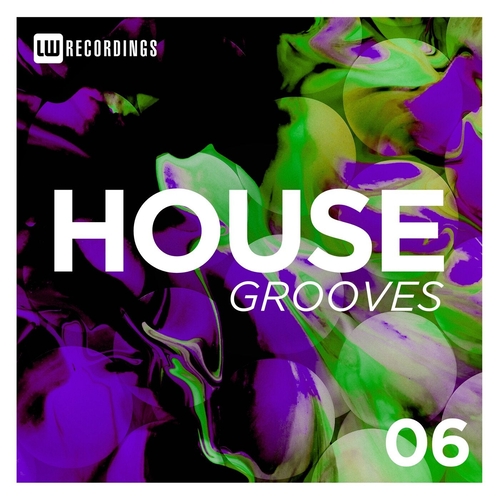 VA - House Grooves, Vol. 06 [LWHG06]